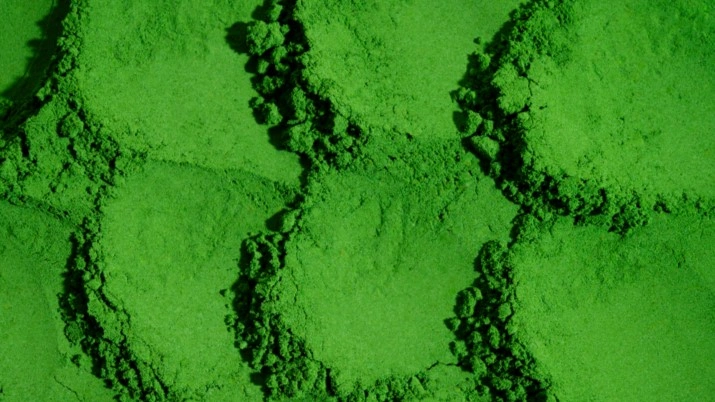 Spirulina Powder